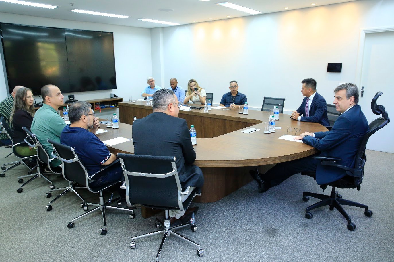 REUNIÃO - MPGO